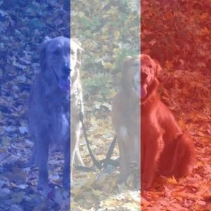 Meet your Posher, Michele